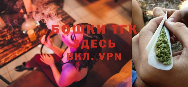 ALPHA PVP Ельня