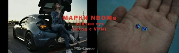 ALPHA PVP Ельня