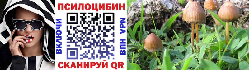 цена   Бугульма  даркнет формула  Галлюциногенные грибы MAGIC MUSHROOMS 